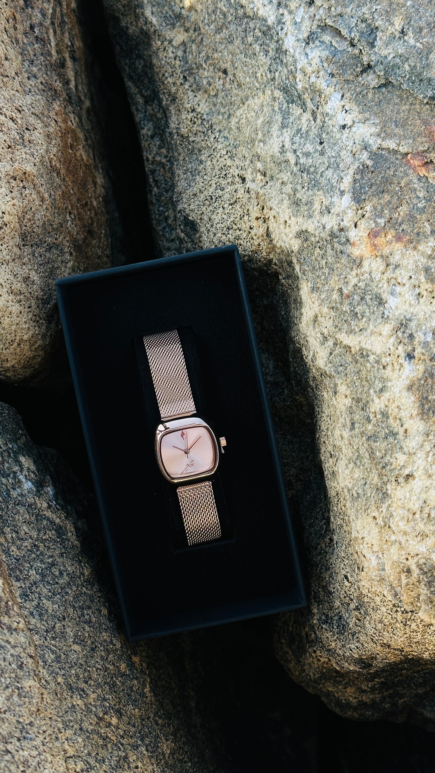 Loona compact- rose gold- sunray